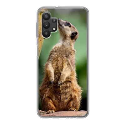 Produktbild von MuchoWow® Handyhülle Schutzhülle Hülle für Samsung Galaxy A32 5G Erdmännchen - Tier - Rock Silikon Softcase Handy Hülle - Softcase