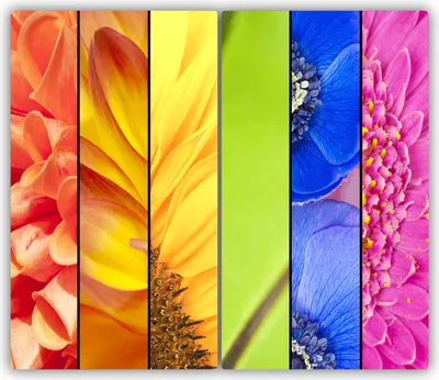 Produktbild von Tulup Glas-Herdabdeckplatte - 2x30x52cm - Glaskeramikkochfeld-Abdeckung Spritzschutz Zweiteilig Bunte Blumen