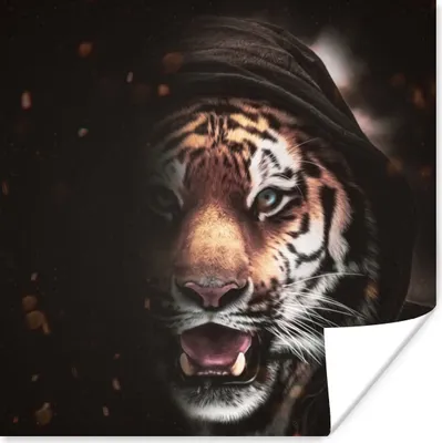 Produktbild von MuchoWow® Poster Tiger - Kleidung - Tiere 100x100 cm - Babyzimmer