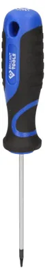 Image de BRILLIANT TOOLS Tournevis TORX T6 - BT034901