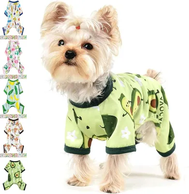 Productafbeelding van Hondenpyjama Fruit - Honden onesie Katten pyjama - Comfortabel slapen - Zachte katoenmix - XL 52cm borst - Groen