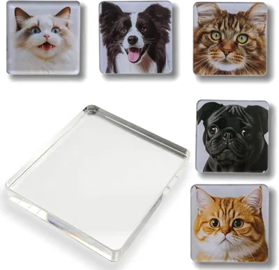 Productafbeelding van 18 stuks set om magneten, knutselen en zelf vorm te geven, heldere 5 x 5 cm fotomagnes