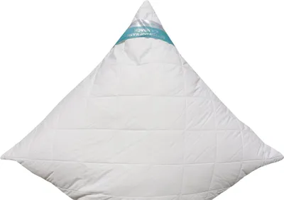 Produktbild von Betten Hofmann Faserkissen Allergiker Kopfkissen 80x80 cm mit Reißverschluss