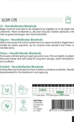 Produktbild von Zwiebeln Holländische Dunkelrote | Zwiebelsamen von Hortitops