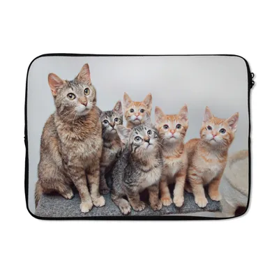 Produktbild von MuchoWow® Laptop Hülle 13 Zoll Katze - Kätzchen - Fell Laptoptasche - Laptophülle - Sleeve - Rundumschutz