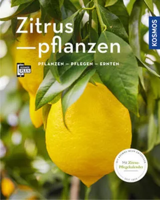 Image de Zitruspflanzen (Mein Garten)