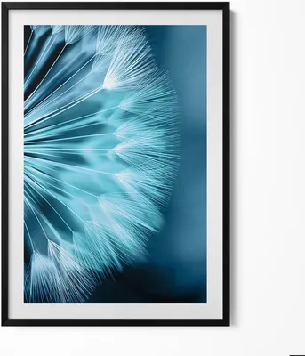 Produktbild von Nahaufnahme einer Schmeißfliege– Wandbild mit Rahmen – Gerahmtes Bild  – Wanddekoration – 70x100 cm –  Schwarz Rahmen