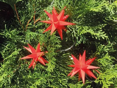 Produktbild von 3D LED  Sternenkette Lichterkette mit 9 roten Sternen Ø 8 cm Weihnachtsstern Außenstern Adventsstern - für den Tannenbaum für innen und außen – Länge 8 m Kabel mit Timer wetterfest