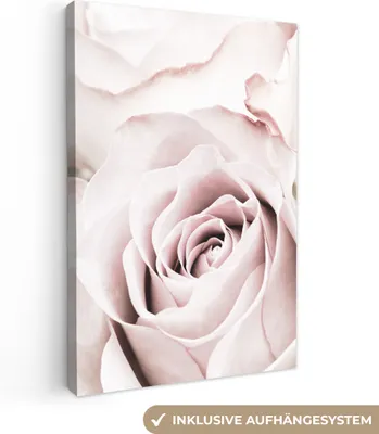 Obrázek produktu pro OneMillionCanvasses® - Obraz na plátně - Květiny - Růže - Růžová - Botanická, nástěnná malba, nástěnné dekorace obrazy obývací pokoj, 40x60cm
