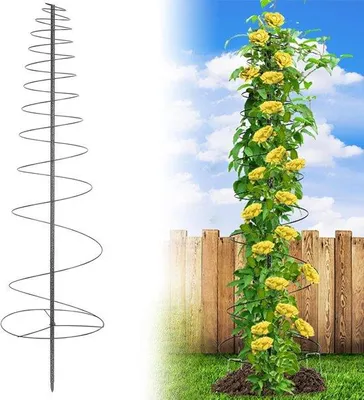 Image de Tuteur pour plantes grimpantes