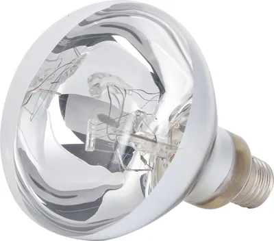 Zdjęcie produktu dla 100W lampa grzewcza dla gadów z pełnym spektrum emitera dla żółwi i jaszczurek 220-240V