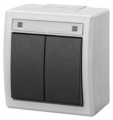 Image de AQUANT IP55 interrupteur en saillie étanche double gris EPN 5002-10