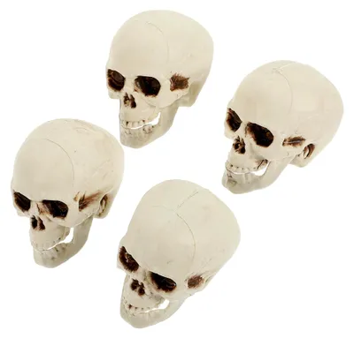 Produktbild von 4 Stück Künstliche Totenköpfe aus Kunststoff für Halloween-Dekoration