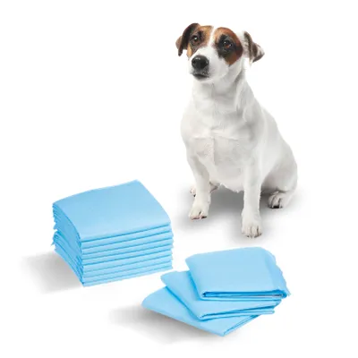 Produktbild von GB495 Trainingspads für Hunde 60x40cm 6-lagig 50