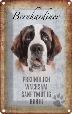 Produktbild von vianmo Blechschild 30x20 cm Bernhardiner Hund Tier Haustier