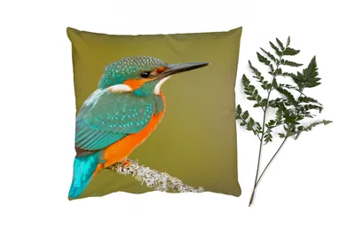 Produktbild von MuchoWow® Zierkissen Sofakissen Wohnzimmer Dekokissen 45x45 cm Eisvogel - Tiere - Vogel - Schlafpolster - Polster für das Sofa