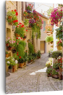 Produktbild von Bild auf Leinwand - Leinwandbild - Einteilig - Blume Straße Haus - 70x100cm - Wand Bild - Wanddeko - Wandbilder - Leinwanddruck - Wanddekoration - Leinwand bilder - Wandbild - PA70x100-3586