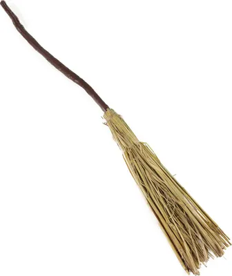 Immagine prodotto di RAPPA Scopa delle streghe 95 cm