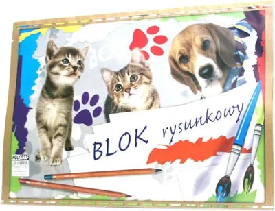 Zdjęcie produktu dla blok rysunkowy 10szt. BIAŁY A3/20K