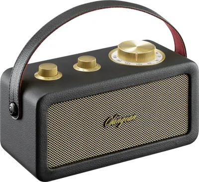Produktbild von SANGEAN RA-101 Akku-Radio FM Bluetooth®, AUX wiederaufladbar Schwarz, Gold