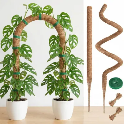 Obrázek produktu pro Sada podpěr pro rostlinu Monstera – 120 cm, s kokosovými vlákny