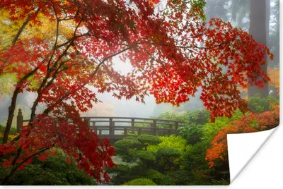 Produktbild von MuchoWow® Poster Japanischer Ahorn - Bäume - Brücke - Natur - Japanisch 120x80 cm - Bilder