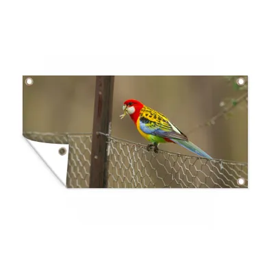 Obrázek produktu pro MuchoWow® Zahradní plakáty - Barevný papoušek na plotě - 80x160 cm - Zahradní dekorace