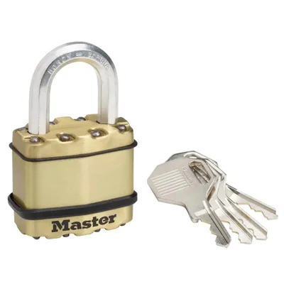 Image de Master Lock Cadenas acier 45 mm M1BEURD