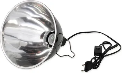 Produktbild von Repti Planet 007-43406, 150 W, 1 Stück(e), Box, 19 cm