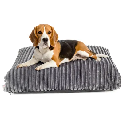 Produktbild von Boutique ZOO Hundebett XL 95x75 cm | Waschbares Hundekissen | Silikonfüllung | Wildlederoptik | Grau