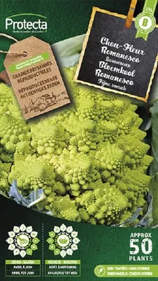 Productafbeelding van Protecta Groente zaden: Bloemkool Romanesco