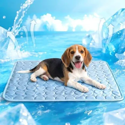 Produktbild von Kühlmatte Katzen Selbstkühlende Matte Kühldecke Hund Haustiere Hundedecke rutschfeste Schlafbett Waschbar Atmungsaktiv Kühlkissen Sommer Heißes Wetter, 60 * 51cm (blau)