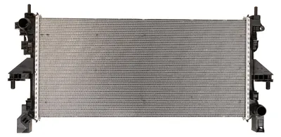 Image de Radiateur moteur, référence 46863466