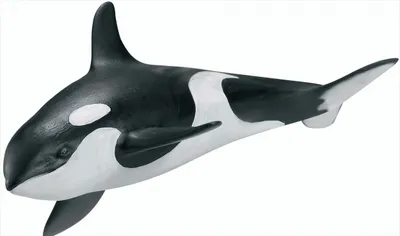 Produktbild von Schleich - World of Nature - Wild Life - Orkakalb