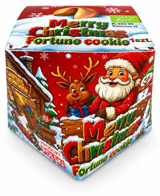 CIASTECZKO Z WRÓŻBĄ NA ŚWIĘTA BOŻEGO NARODZENIA BIO 6 g - D&D FUN COOKIES
