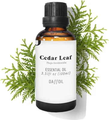 Produktbild von ÄTHERISCHES Zedernblattöl 100 ml