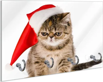 Produktbild von Wallario Schlüsselbrett aus Glas, Motiv: Ich hasse Weihnachten - mürrische Katze mit Weihnachtsmütze, 30 x 20 cm mit 4 Haken