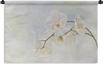 Produktbild von MuchoWow® Wandteppich Wandbehang Weiße Orchidee vor verblasstem Hintergrund 150x100 cm Tapisserie Dekoration Wandtuch - Waschbar - Tapisserien - Wand-Decke
