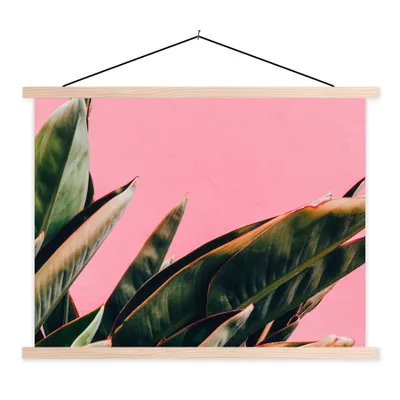 Produktbild von MuchoWow® Textilposter Pflanzen - Frauenzunge - Rosa - Tropisch 60x45 cm mit holzfarbenen Rahmen - Bild