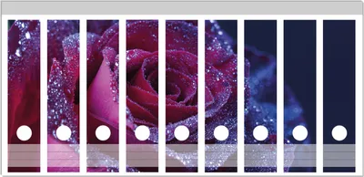 Produktbild von Wallario Ordnerrücken Sticker, selbstklebend für breite Ordner, 9 Stück, Motiv Rote Rosenblüte im Regen