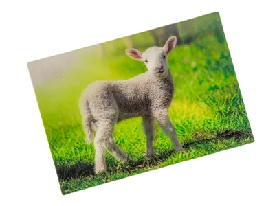 Produktbild von 3 D Ansichtskarte Schäfchen, Postkarte Wackelkarte Hologrammkarte Tiere Tier Schaf