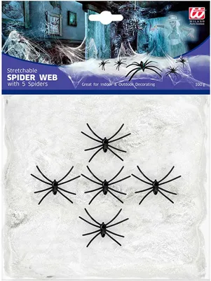 Image de Toile d'araignée blanche 100g avec 5 araignées
