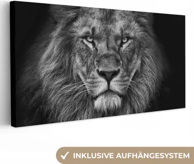 Produktbild von MuchoWow® - Leinwandbilder - Löwe - Tiere - Schwarz - Weiß, Wandbild, Wanddeko Bilder Wohnzimmer, 80x40cm