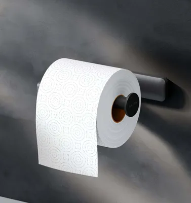 Produktbild von Toilettenpapierhalter Wandmontage mit bohren Klopapierhalter Edelstahl WC Papierhalter für Badezimmer Edelstahl AM.PM, Schwarz matt