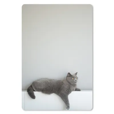Produktbild von MuchoWow® Mauspad Mousepad Katze - Britisch Kurzhaar - Grau - Mädchen - Kinder - Jungen - Kinder 18x27 cm - Mousepads - Maus Mat - Pad - Mausunterlage