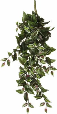 Produktbild von Mica Decoration Tradescantia Kunstpflanze - Hangepflanze - 54 x 17 cm