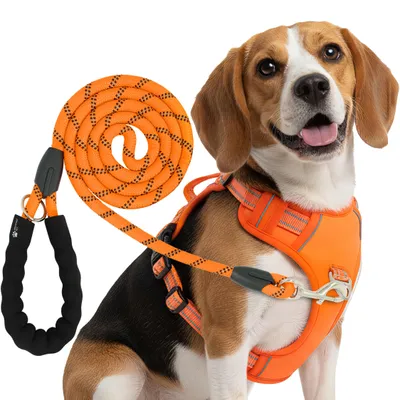 Produktbild von Reichstadt Hundegeschirr 25RSP083-4 Orange S