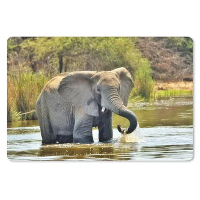 Produktbild von MuchoWow® Mauspad Mousepad Elefant - Wasser - Tiere - Natur 27x18 cm - Mousepads - Maus Mat - Pad - Mausunterlage - Büroartikel - Desk Matten