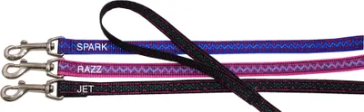 Produktbild von Hundeleine Electra Choice  mit Handschlaufe und Drehkarabiner aus starkem Nylon 1,6 cm breit, 120 cm lang in Jet