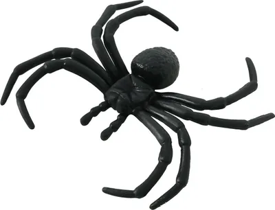 Immagine prodotto di ragni neri per la decorazione di Halloween 4 pezzi.